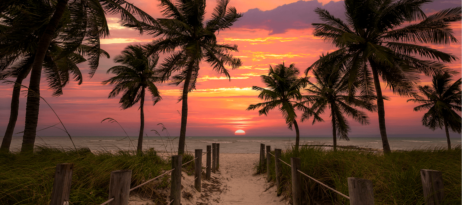 Palm trees and sunset over tropical beach.