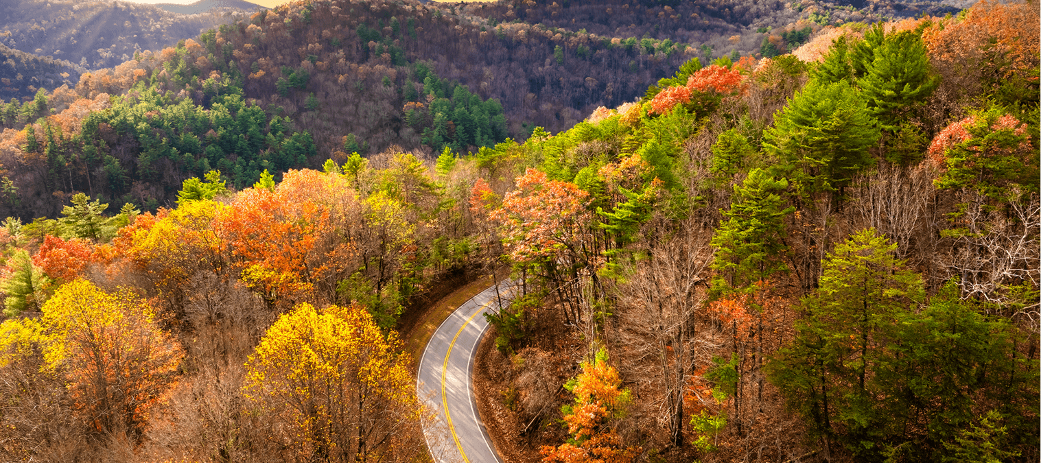 Winding road through colorful autumn forest.