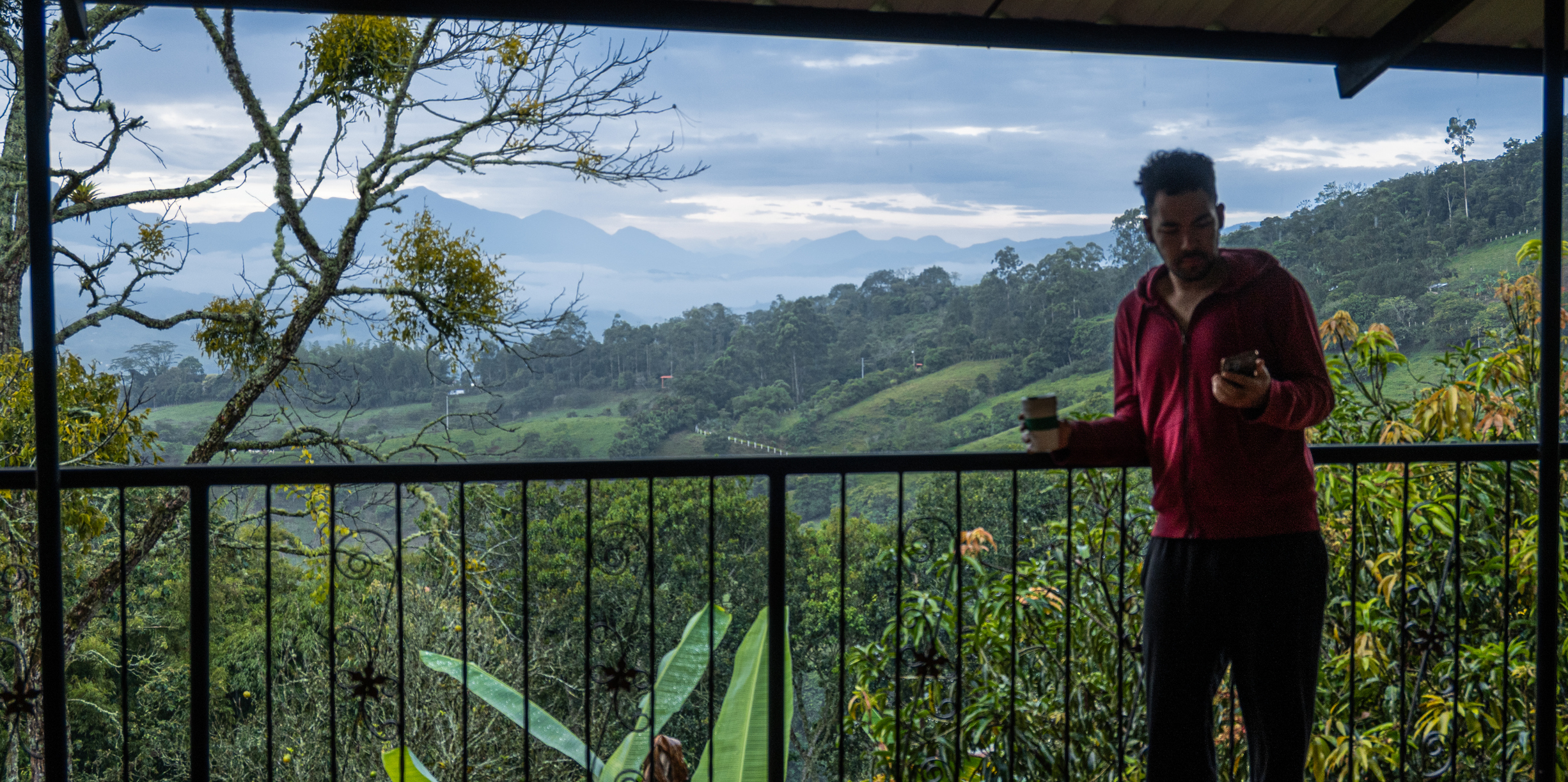 A man stands on a covered balcony holding a cup of coffee and checking his phone while overlooking a misty mountain landscape and lush green valley at dawn.