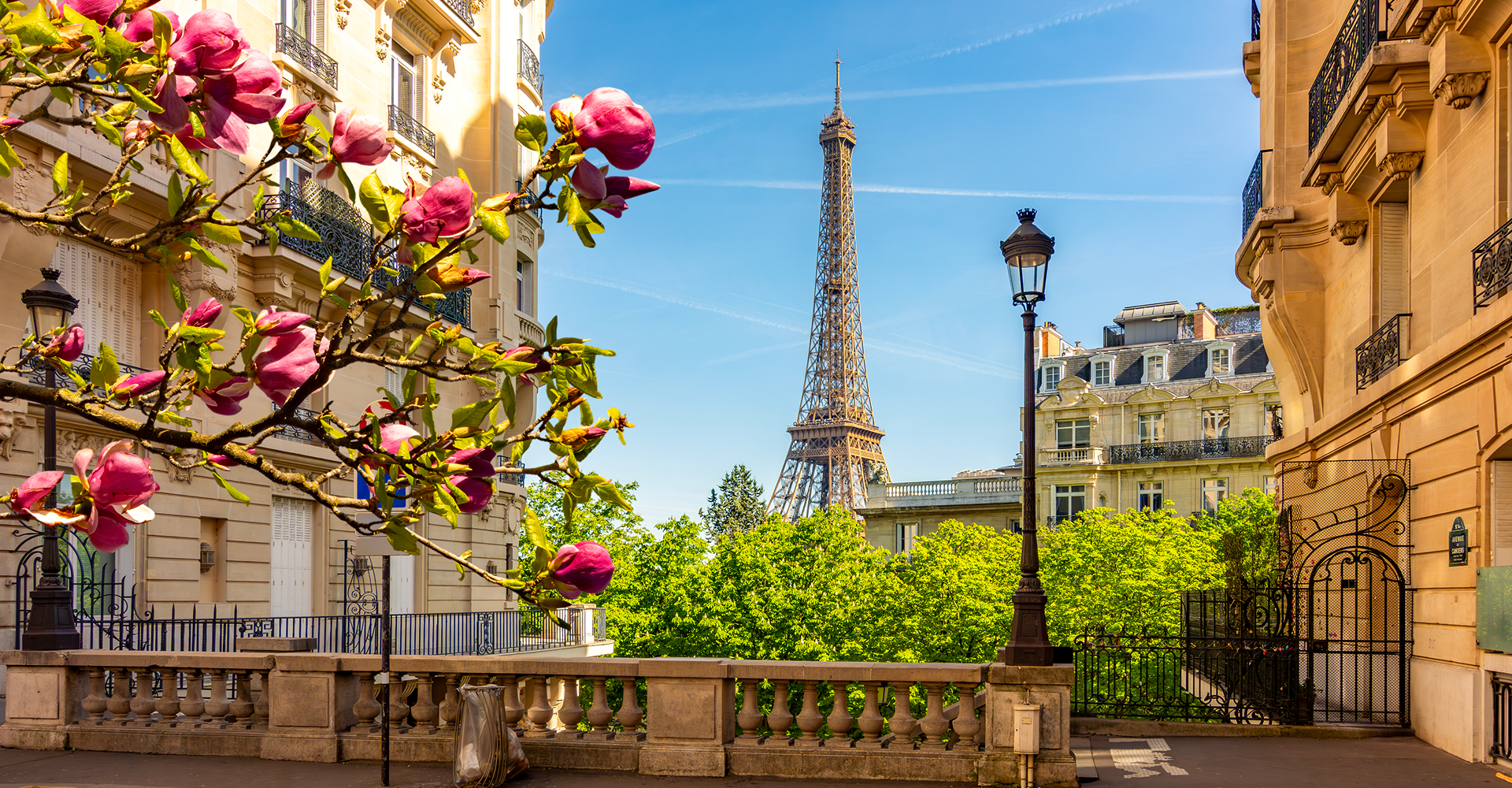 Eiffel Tower with blooming flowers in foreground.
